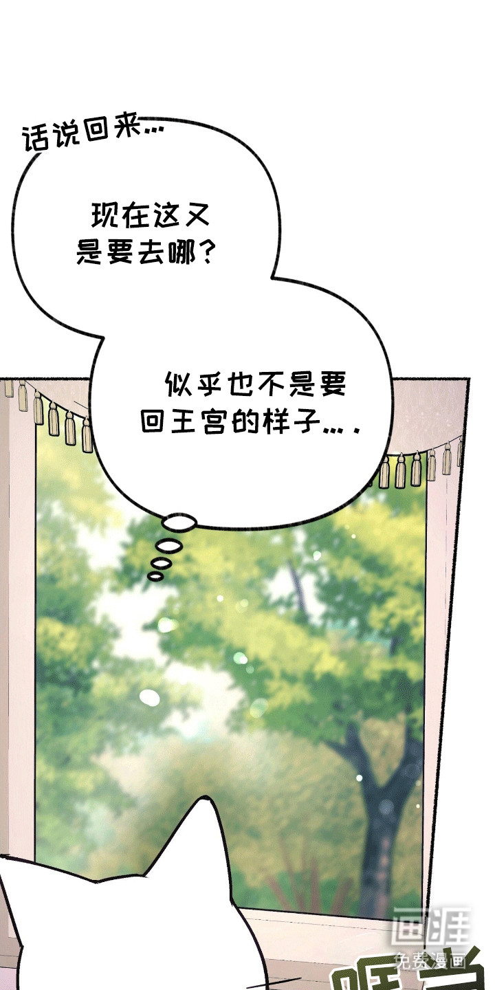 喵喵与暴君同眠第14话图