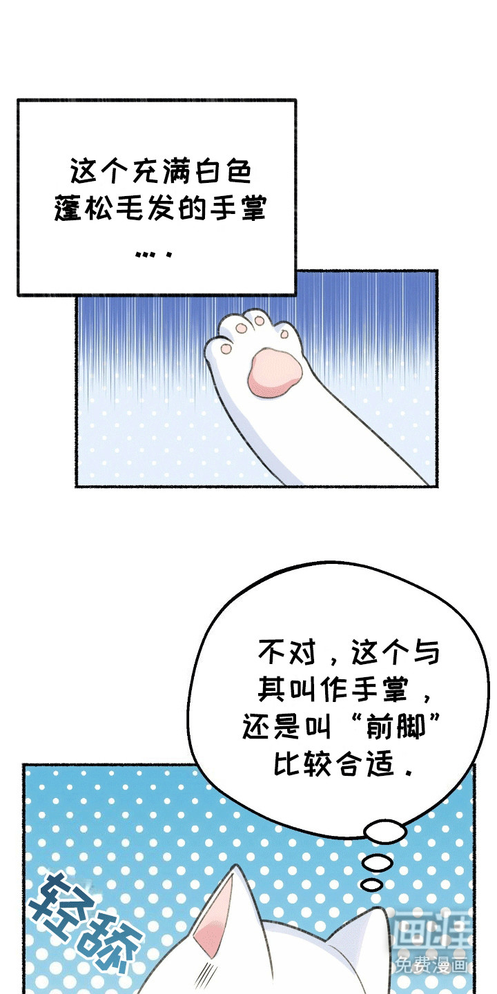 喵喵与暴君同眠第2话图