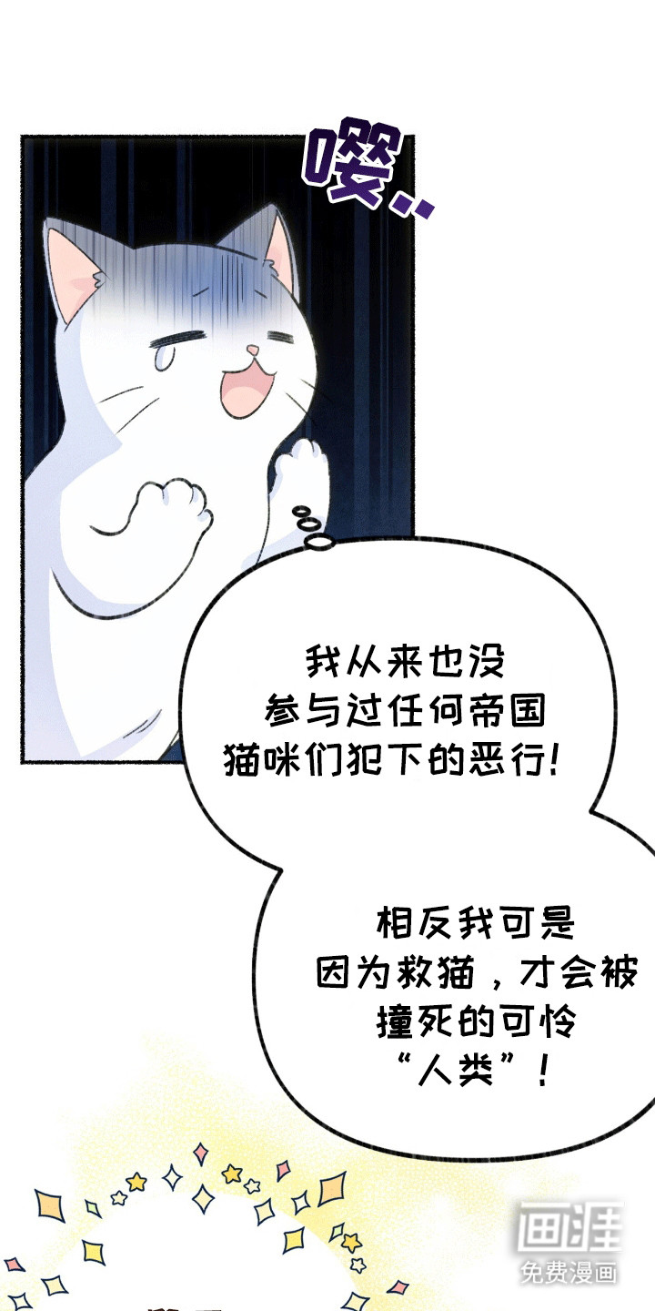 喵喵与暴君同眠第3话图