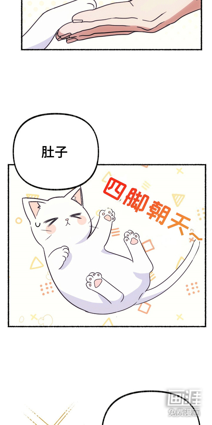 喵喵与暴君同眠第4话图