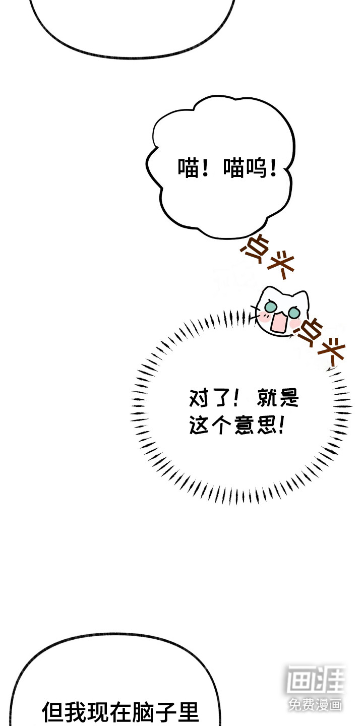 喵喵与暴君同眠第7话图