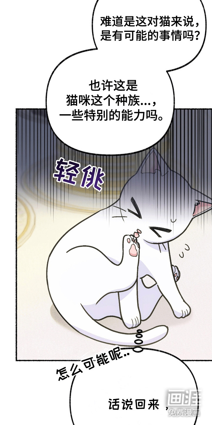 喵喵与暴君同眠第7话图