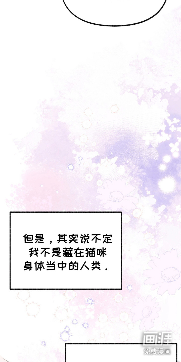 喵喵与暴君同眠第7话图