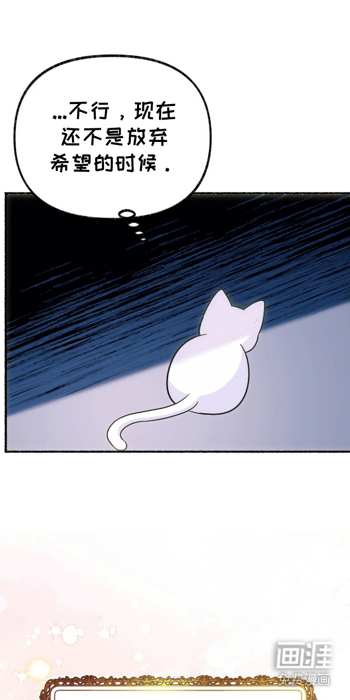 喵喵与暴君同眠第7话图