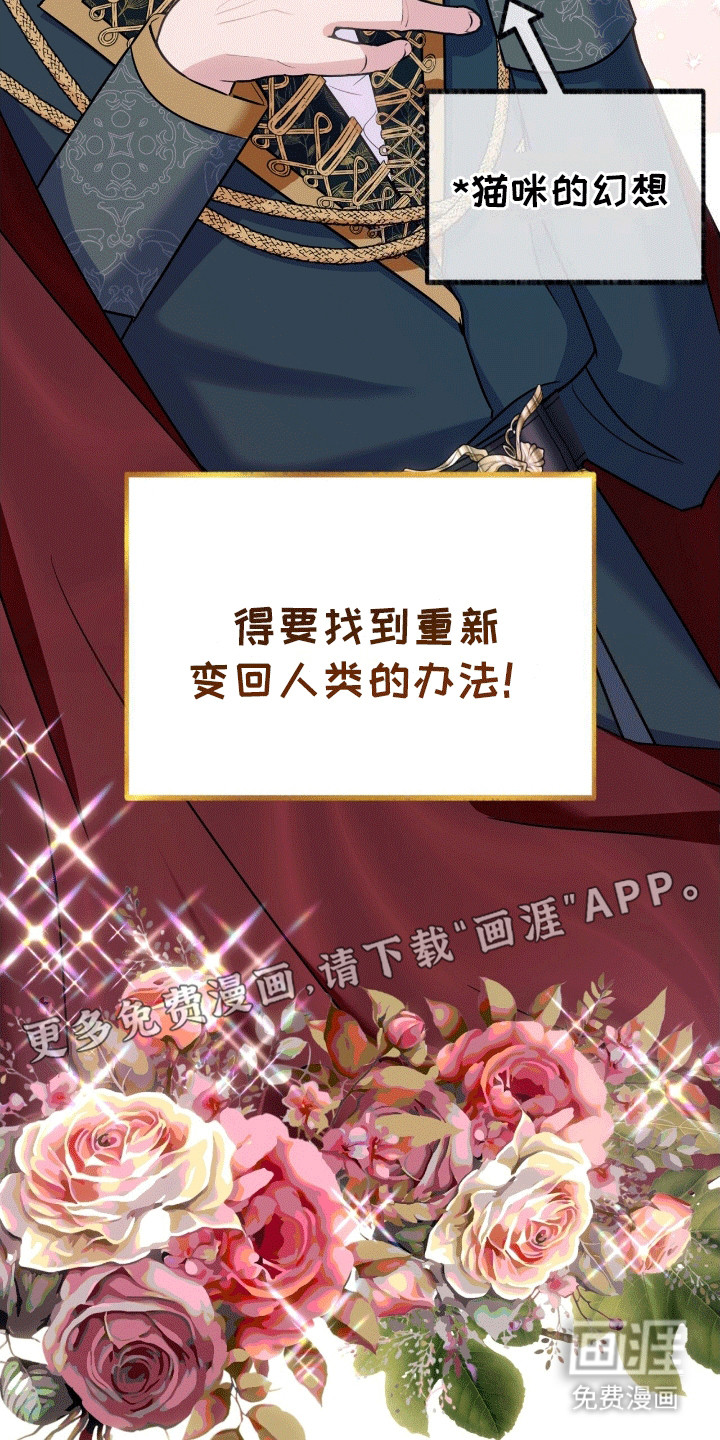 喵喵与暴君同眠第7话图