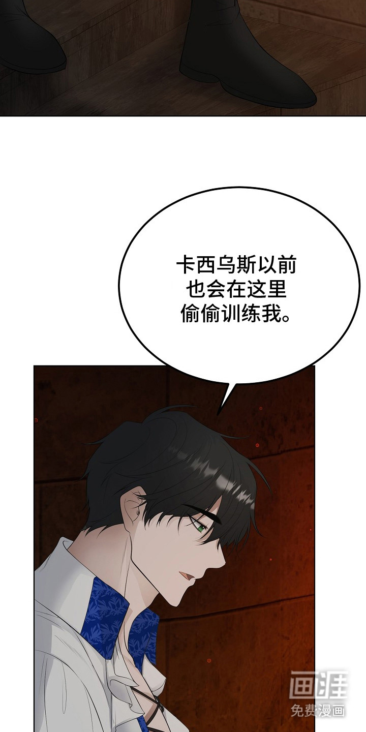 冒牌恋人第17话图