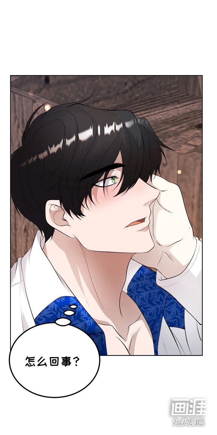 冒牌恋人第20话图