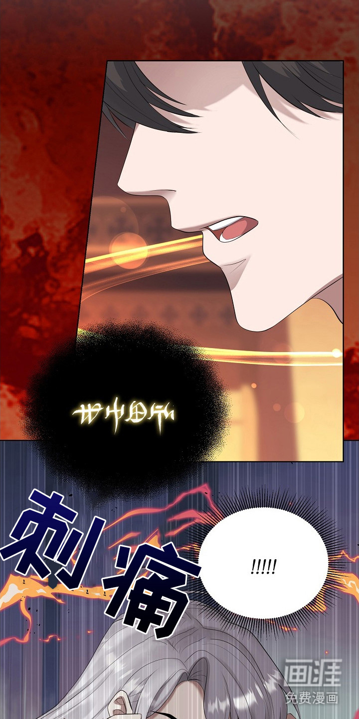 冒牌恋人第5话图