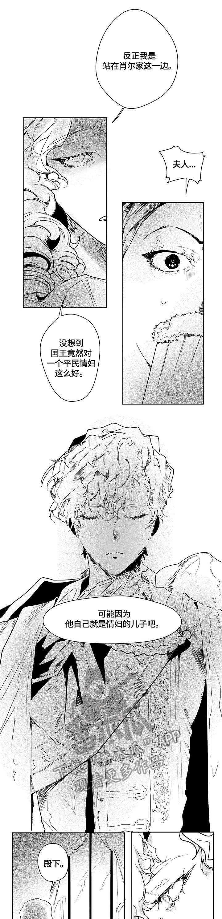 面纱里的影第14话图