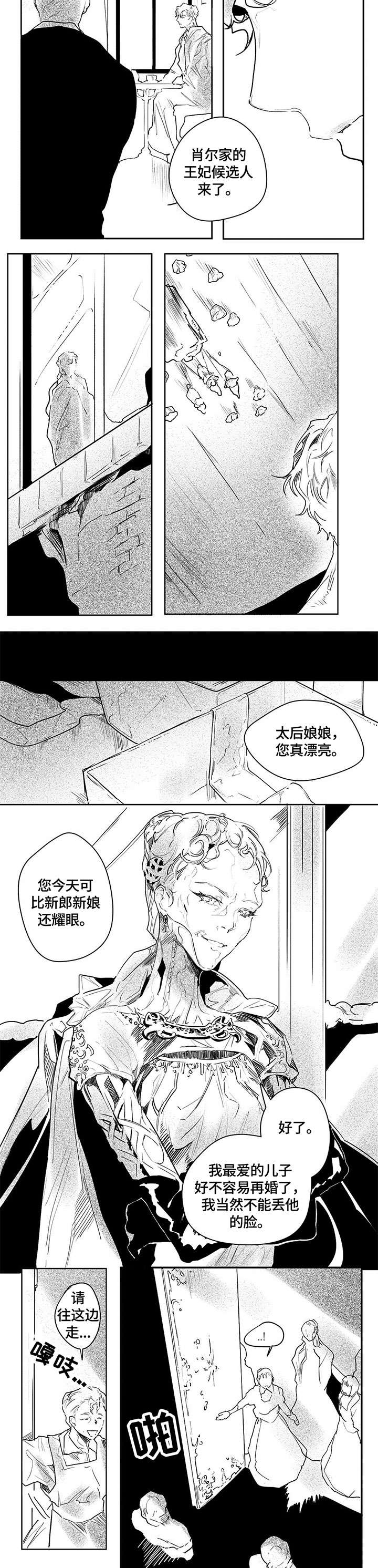 面纱里的影第14话图