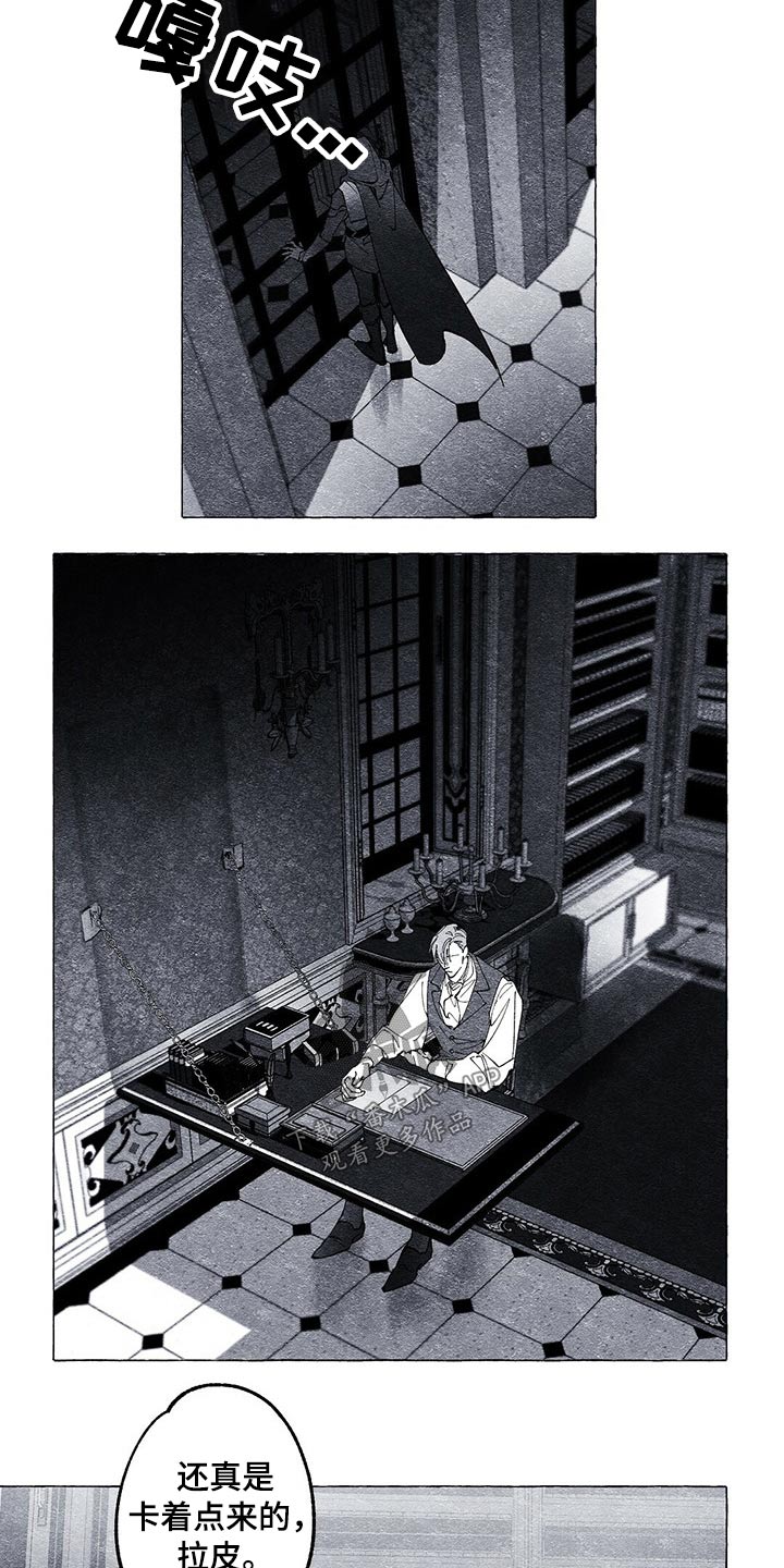 面纱里的影第20话图