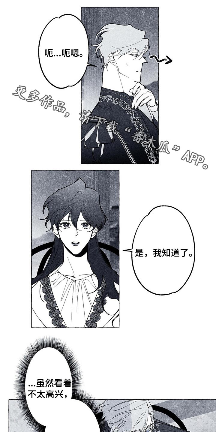 面纱里的影第24话图