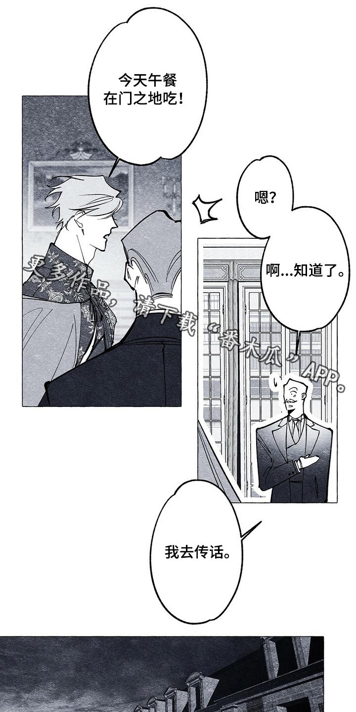 面纱里的影第25话图