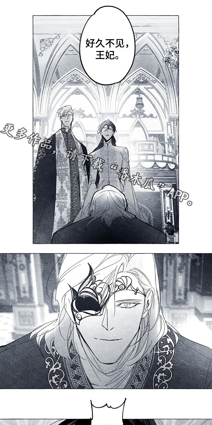 面纱里的影第28话图