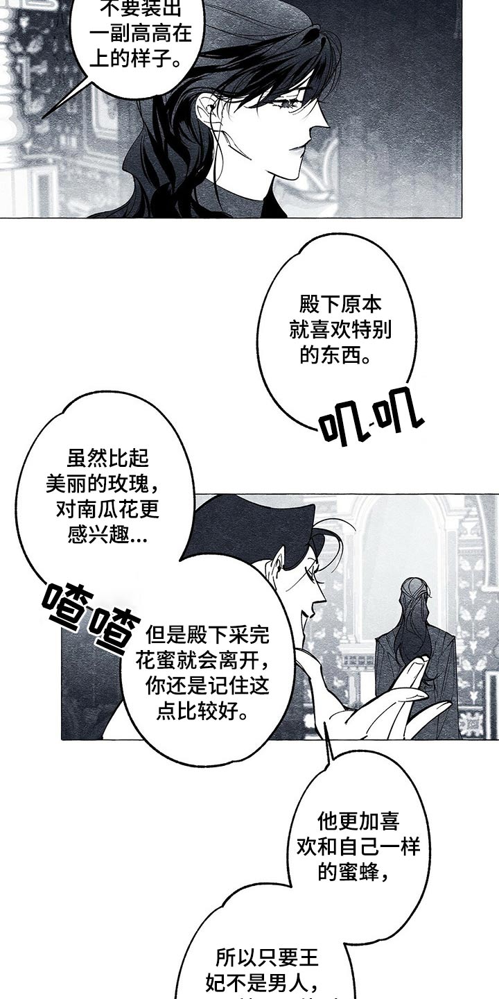 面纱里的影第33话图