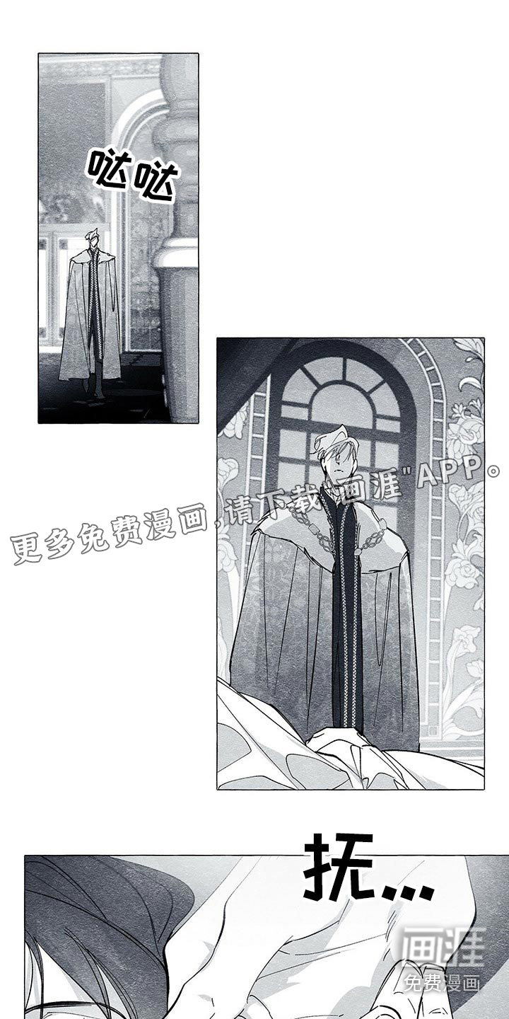 面纱里的影第42话图