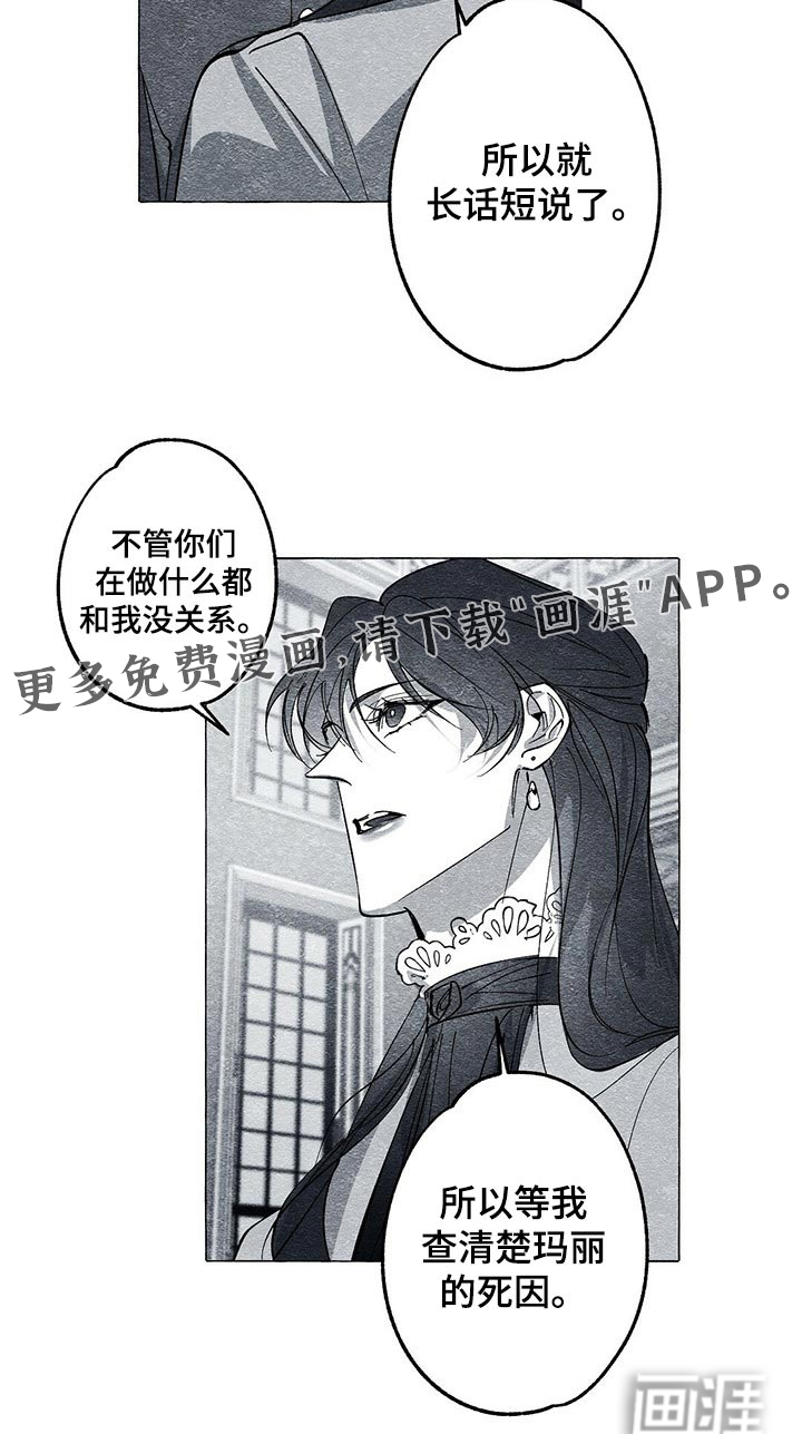 面纱里的影第45话图