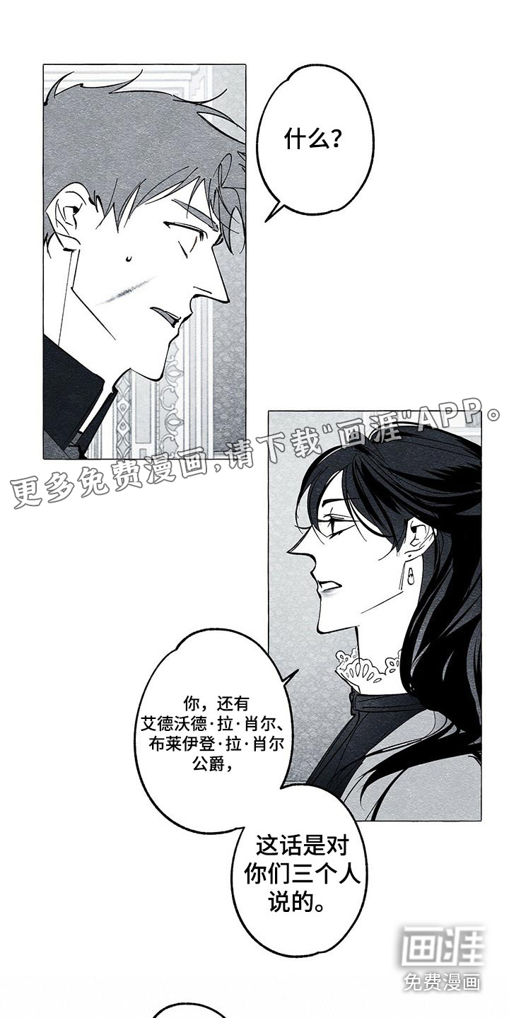 面纱里的影第46话图