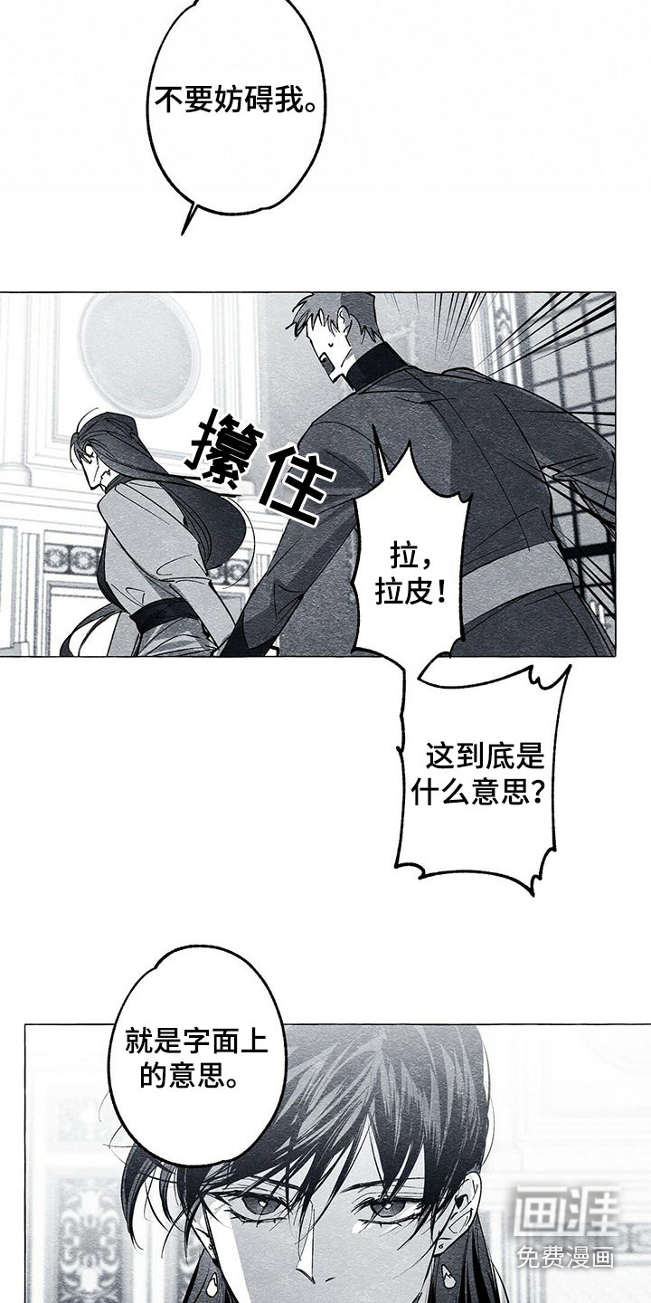 面纱里的影第46话图