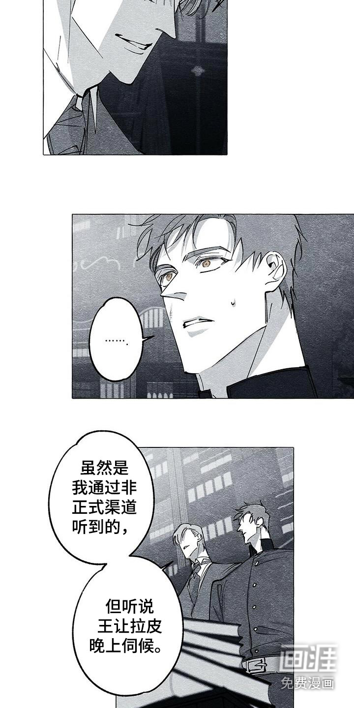 面纱里的影第47话图