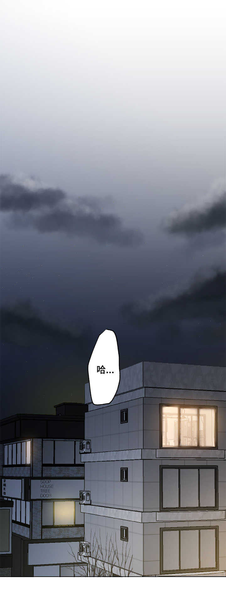 陌生王妃第1话图