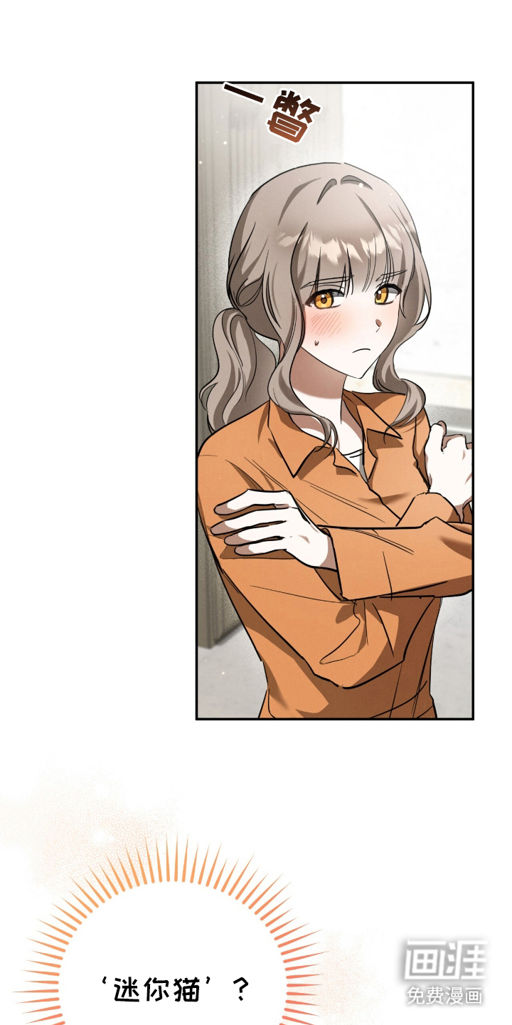 迷你猫的真相第11话图