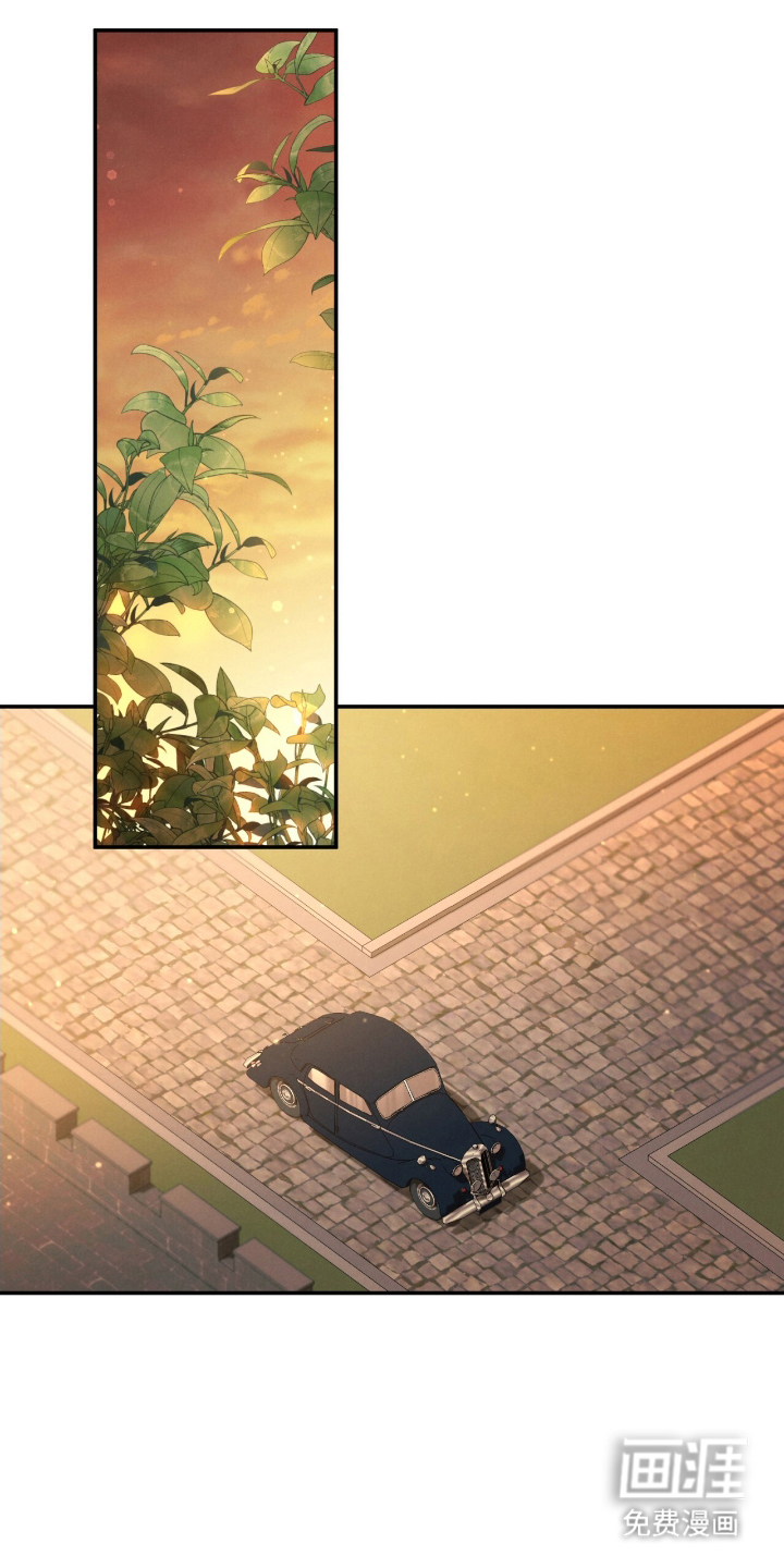 迷你猫的真相第16话图