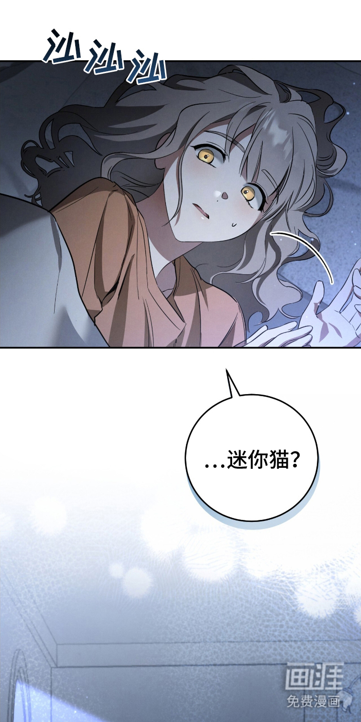 迷你猫的真相第18话图