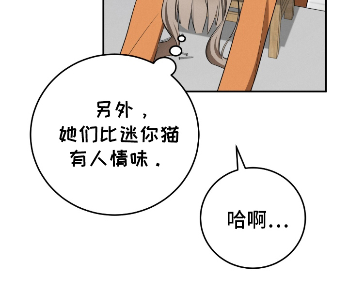迷你猫的真相第19话图