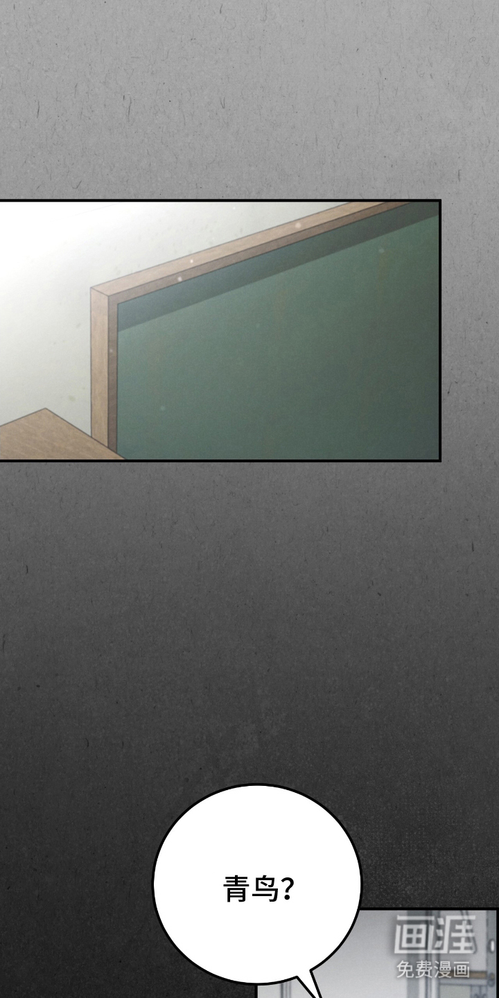 迷你猫的真相第21话图