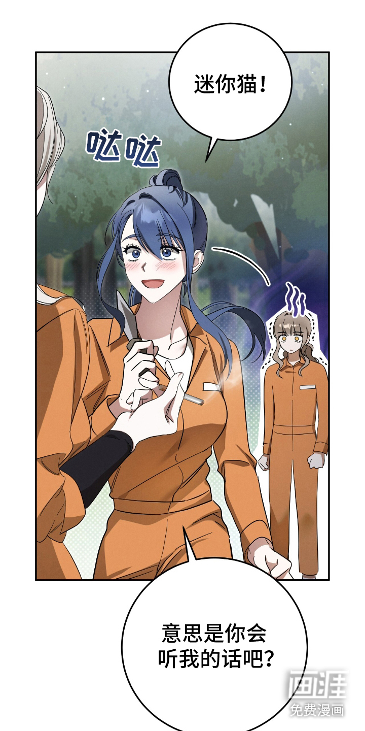 迷你猫的真相第22话图