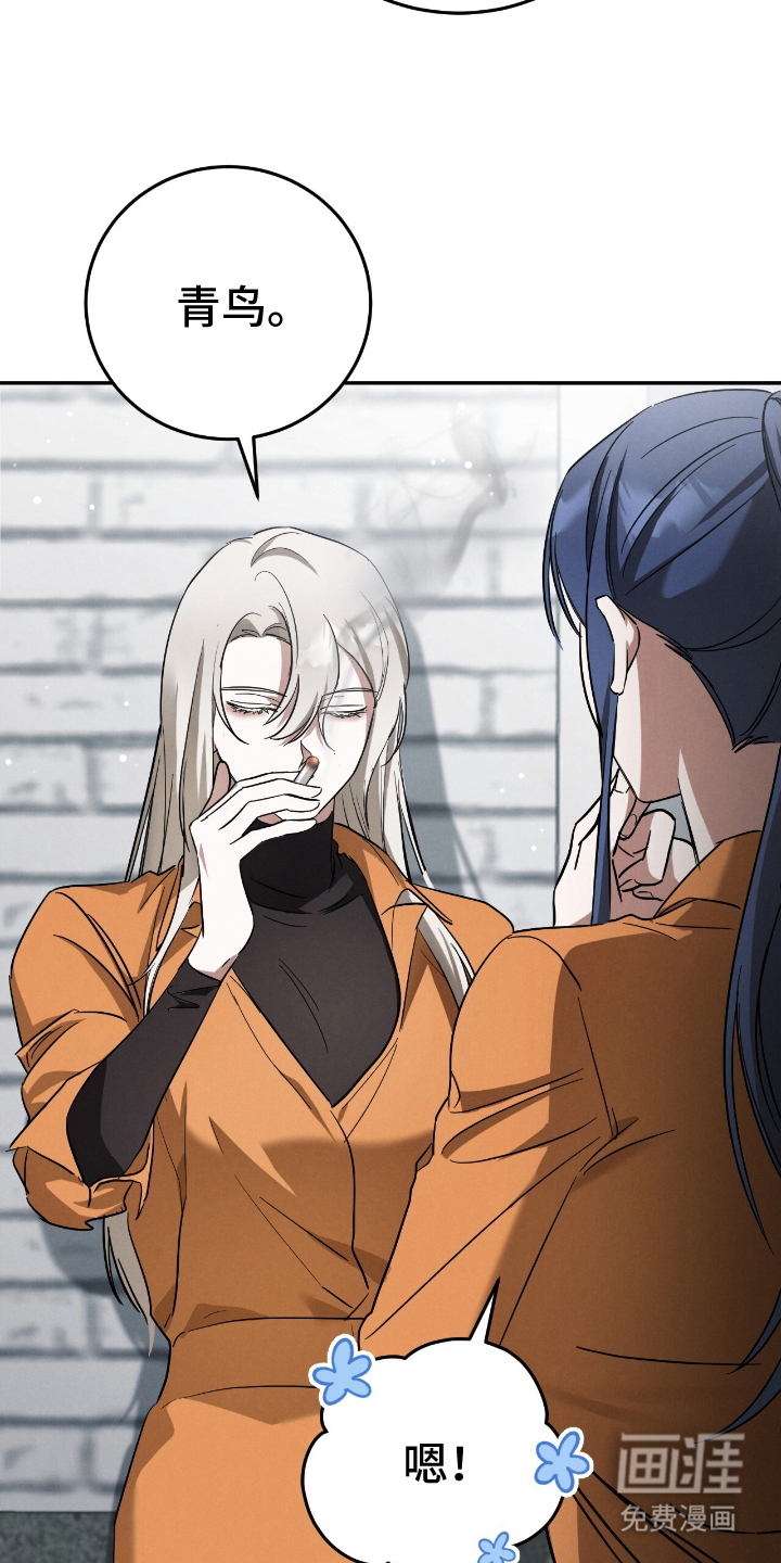 迷你猫的真相第22话图