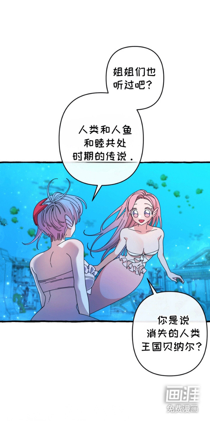 美人鱼的憧憬第4话图