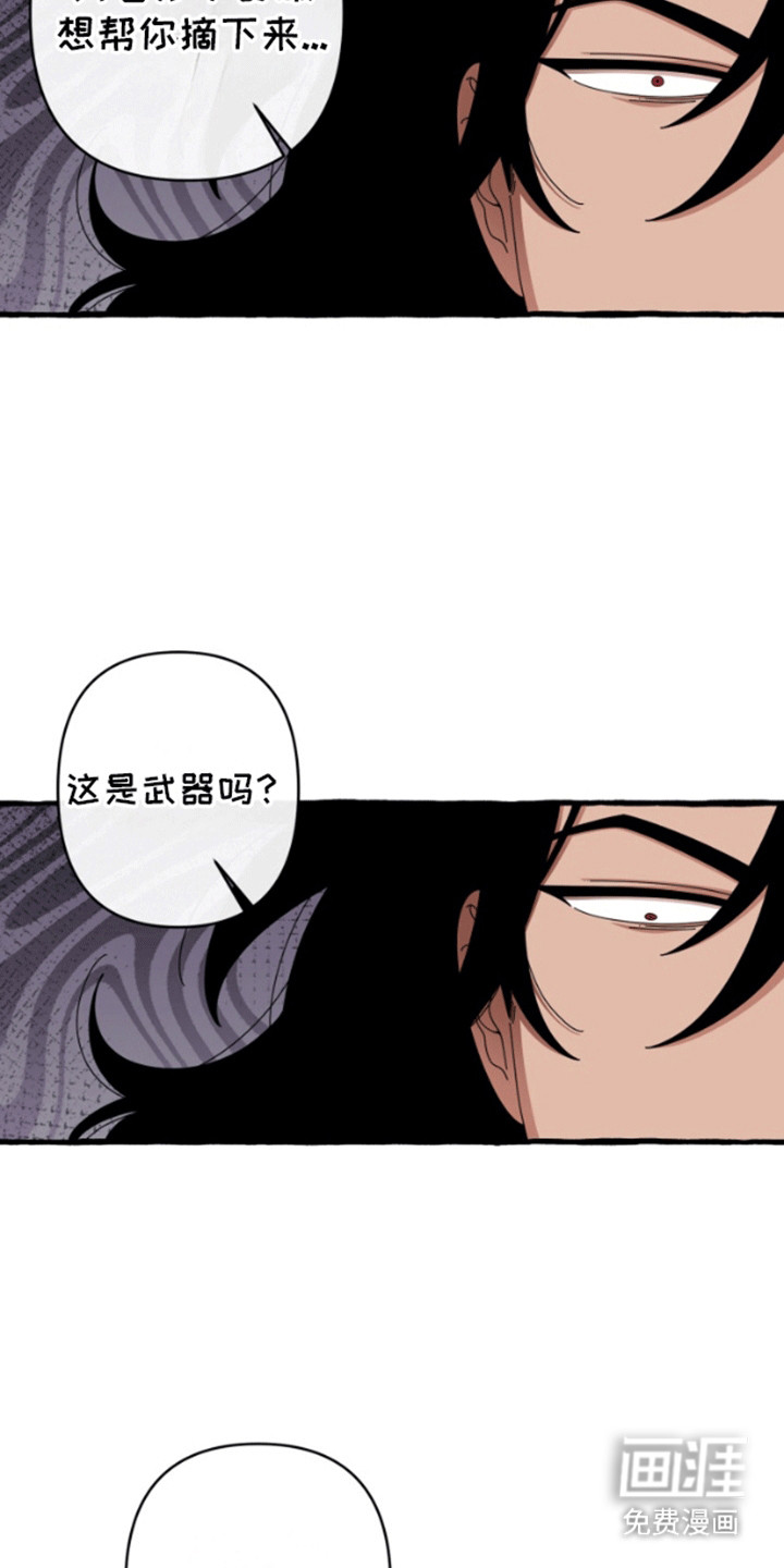 美人鱼的憧憬 第9话 第9页