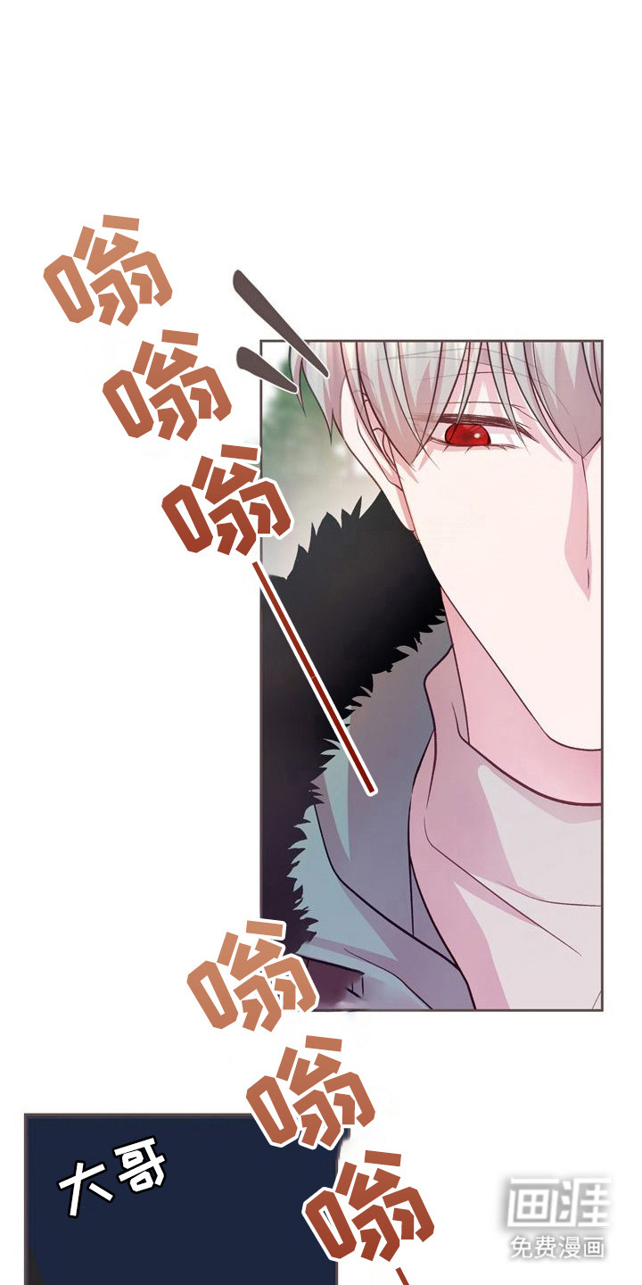 命运伴侣第18话图