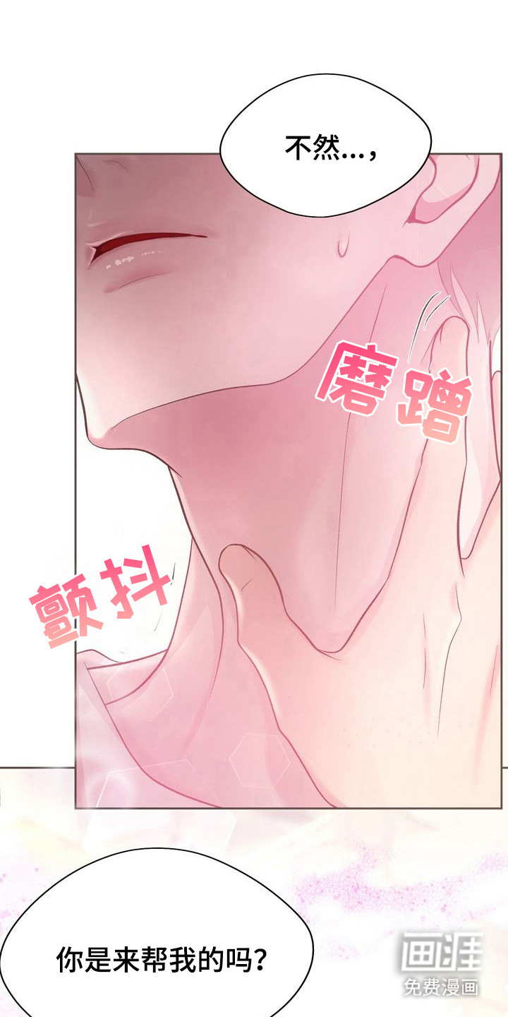 命运伴侣第29话图