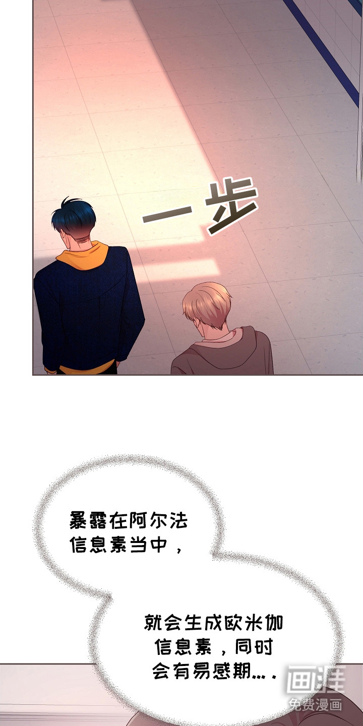 命运伴侣第33话图