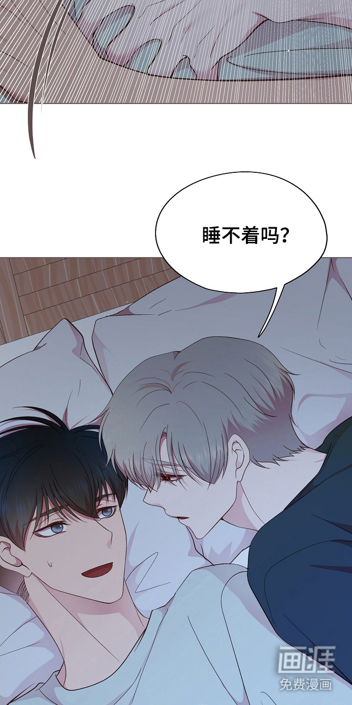 命运伴侣第35话图