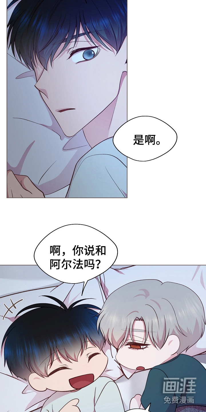 命运伴侣第35话图