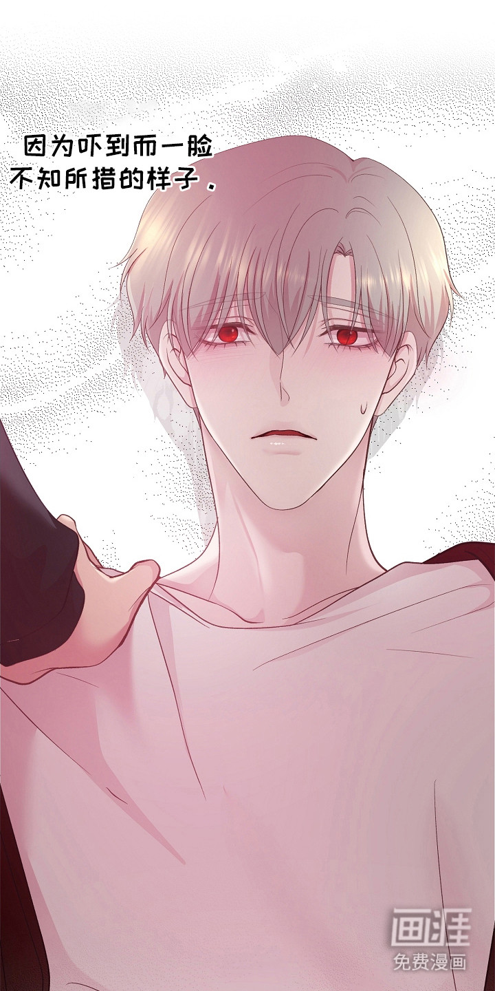 命运伴侣第35话图