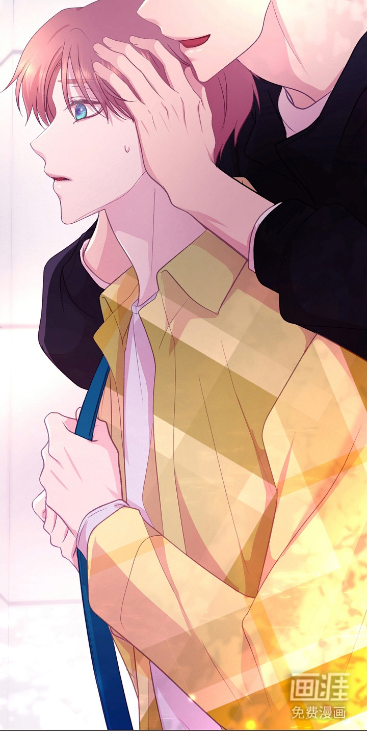 命运伴侣第36话图