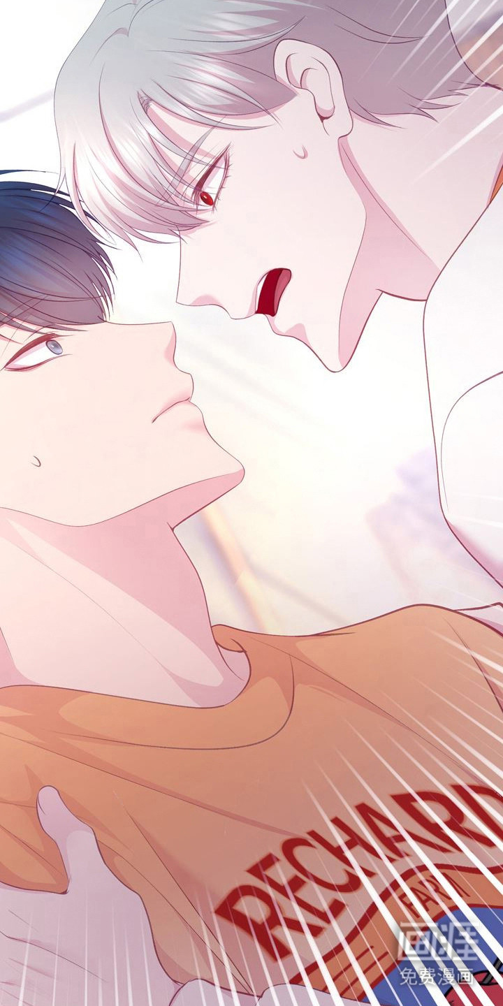 命运伴侣第5话图