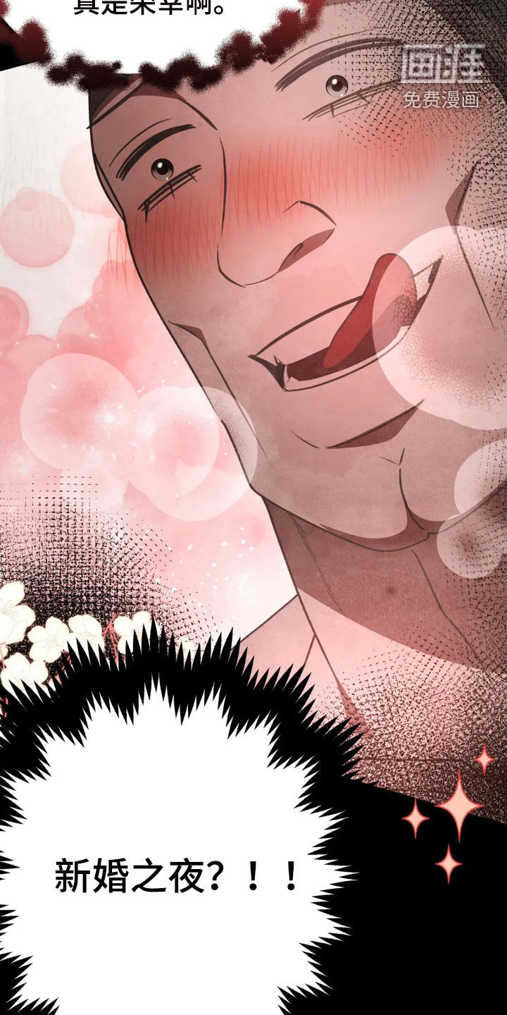 猛虎护卫第17话图