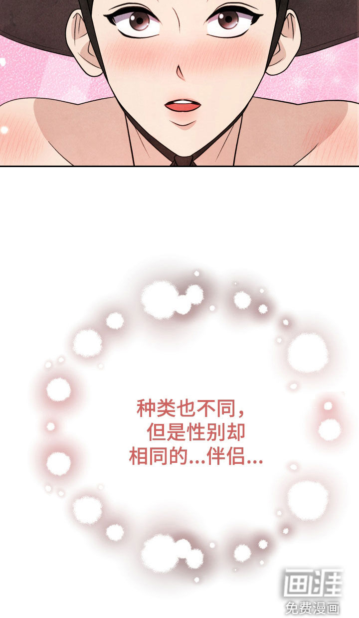 猛虎护卫第19话图