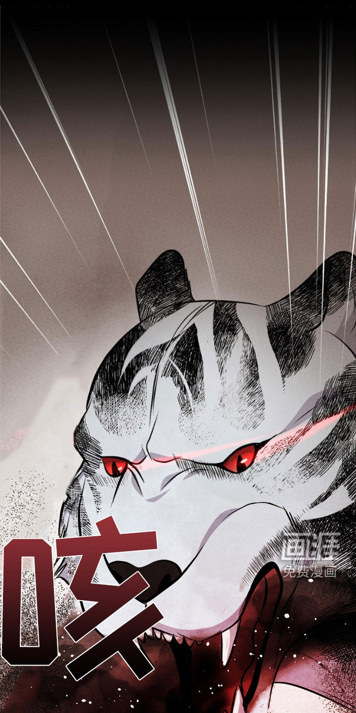 猛虎护卫第25话图