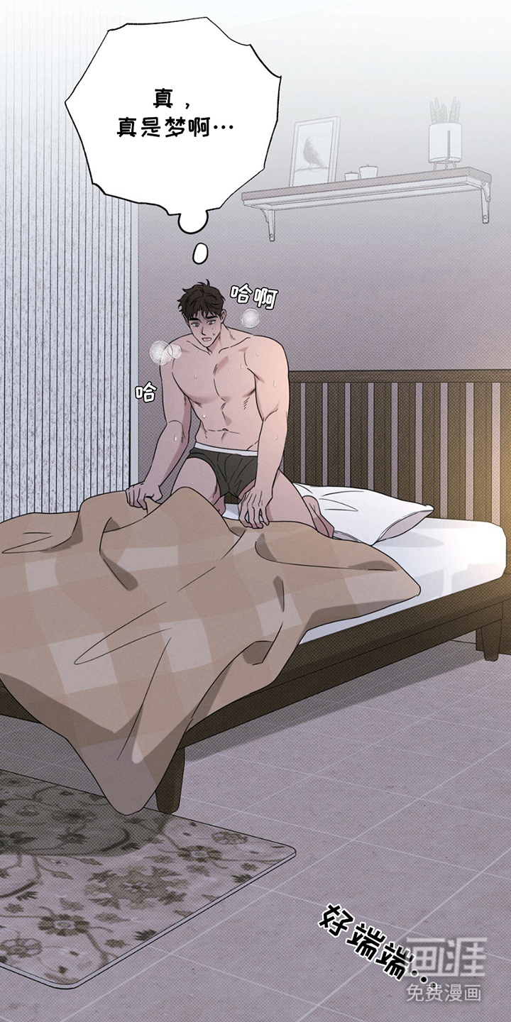 美人鱼的沼泽第13话图