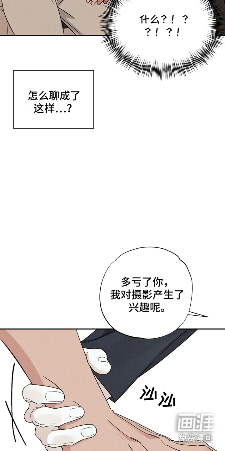 美人鱼的沼泽第15话图