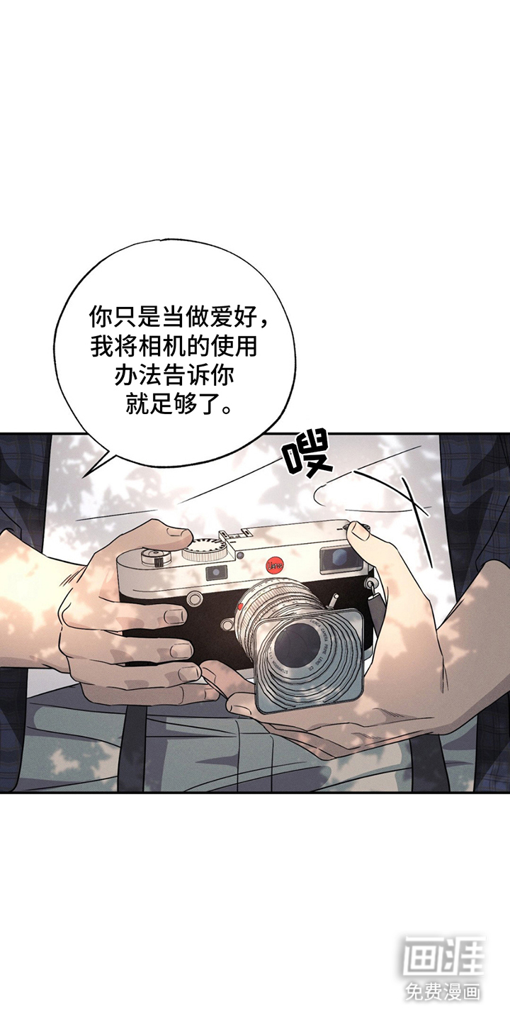 美人鱼的沼泽第17话图