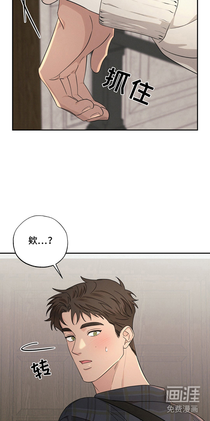 美人鱼的沼泽第18话图