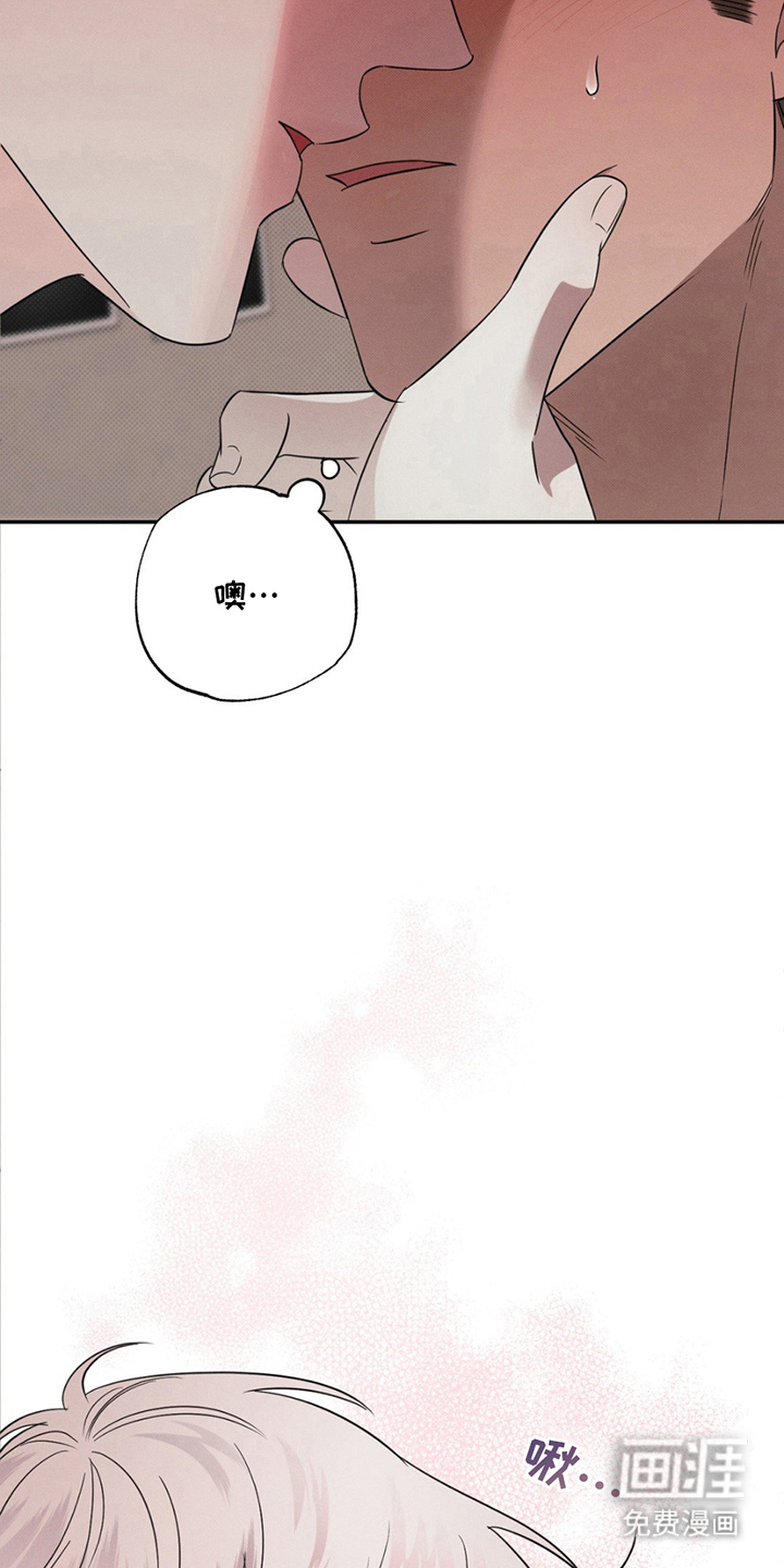 美人鱼的沼泽第19话图